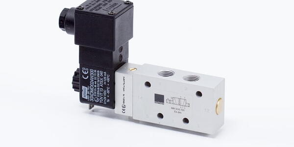 Ignition protection type | EEx dm IIC T5