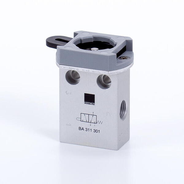 BA 311 _ _1