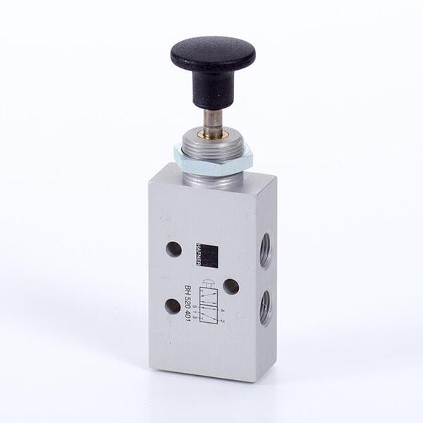BH 520 _ _1