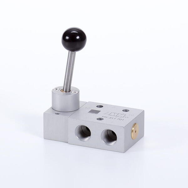 HV 311 _ _1