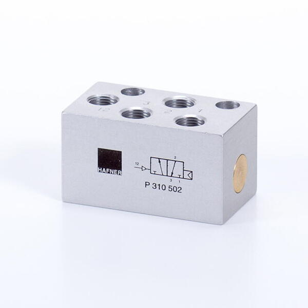 P 310_ _2
